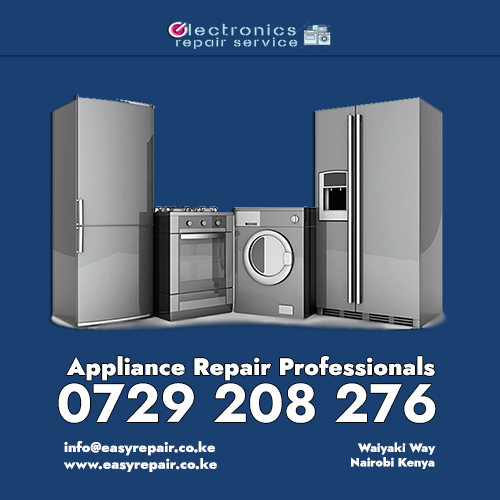 professional-repair-nairobi